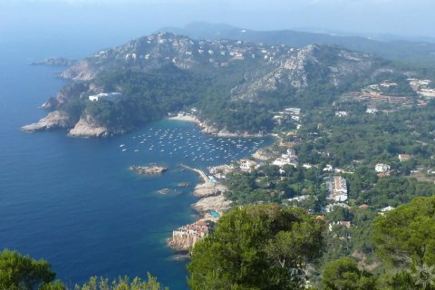 Купить виллу в Бегур, Испания с 9 спален, 835м², № 852 - фото 21