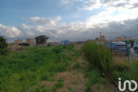 Купить земельный участок в Тортоса, Испания 4205м², № 4935 - фото 11