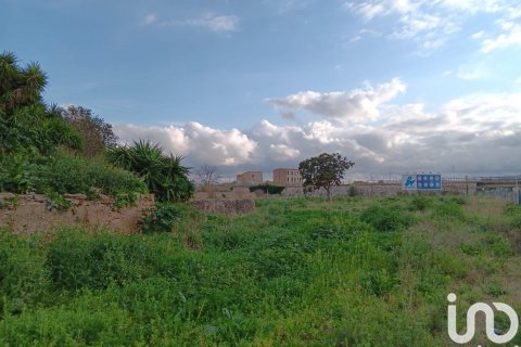 Купить земельный участок в Тортоса, Испания 4205м², № 4935 - фото 14