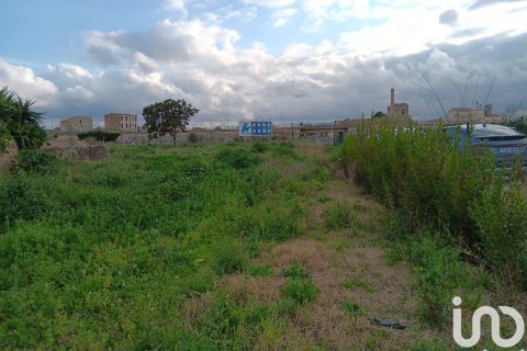 Купить земельный участок в Тортоса, Испания 4205м², № 4935 - фото 12