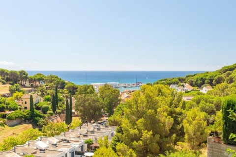 Купить дом в Аренис де Мар, Испания с 5 комнат, № 1341 - фото 2