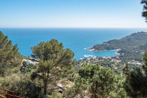 Купить дом в Бегур, Испания с 7 комнат, № 1345 - фото 17