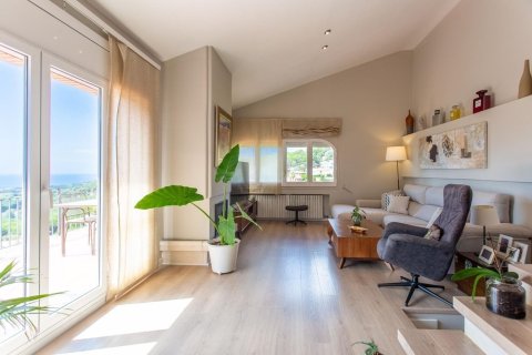 Купить дом в Алелья, Испания с 5 комнат, № 1343 - фото 19