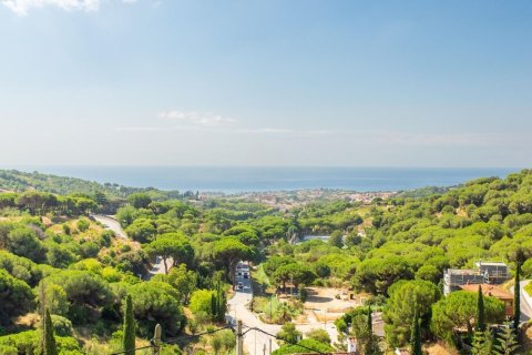 Купить дом в Алелья, Испания с 5 комнат, № 1343 - фото 21