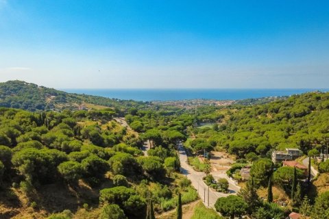 Купить дом в Алелья, Испания с 5 комнат, № 1343 - фото 12