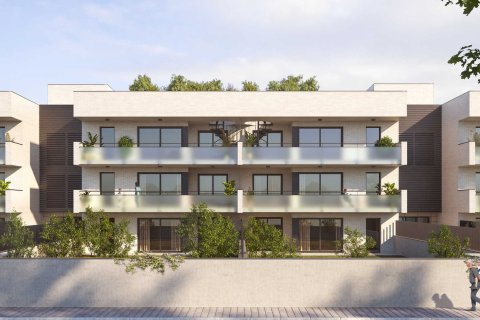 Lanius Roig в Ситжесе № 240