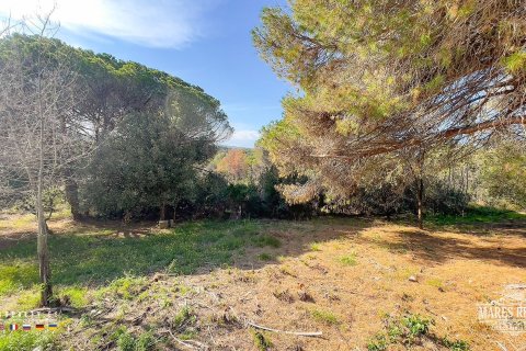 Купить земельный участок в Кондадо-дель-Харуко, Испания 17000м², № 3090 - фото 8