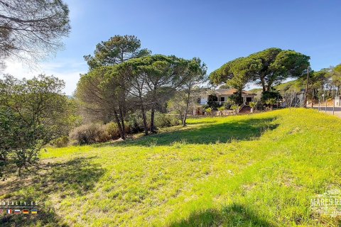 Купить земельный участок в Кондадо-дель-Харуко, Испания 17000м², № 3090 - фото 15