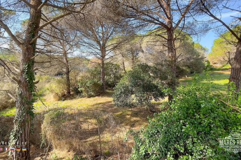 Купить земельный участок в Кондадо-дель-Харуко, Испания 17000м², № 3090 - фото 6