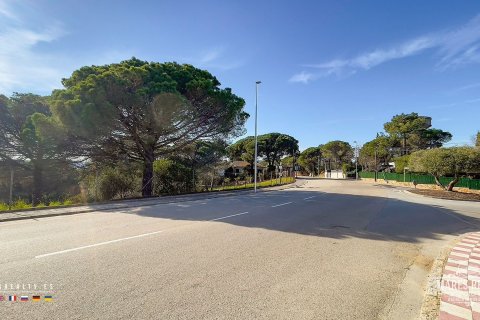 Купить земельный участок в Кондадо-дель-Харуко, Испания 17000м², № 3090 - фото 19