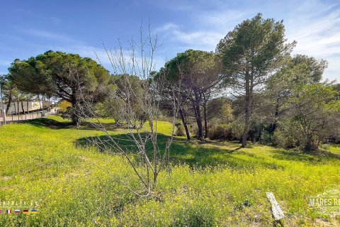 Купить земельный участок в Кондадо-дель-Харуко, Испания 17000м², № 3090 - фото 9