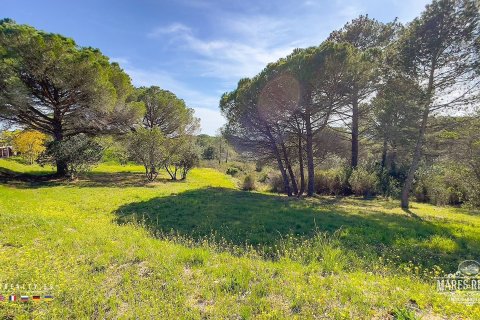 Купить земельный участок в Кондадо-дель-Харуко, Испания 17000м², № 3090 - фото 18