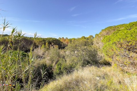 Купить земельный участок в Кондадо-дель-Харуко, Испания 17000м², № 3090 - фото 16