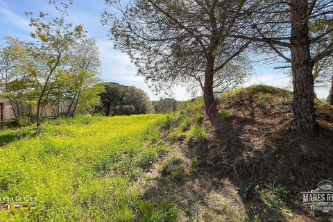 Купить земельный участок в Кондадо-дель-Харуко, Испания 17000м², № 3090 - фото 3