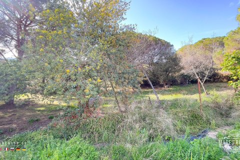 Купить земельный участок в Кондадо-дель-Харуко, Испания 17000м², № 3090 - фото 20