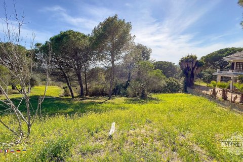 Купить земельный участок в Кондадо-дель-Харуко, Испания 17000м², № 3090 - фото 10