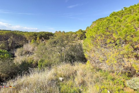 Купить земельный участок в Кондадо-дель-Харуко, Испания 17000м², № 3090 - фото 12