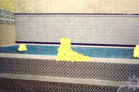 Вилла с 5 спальнями в Барселоне, Каталония, Испания № 885