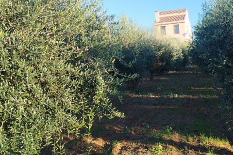 3 bedrooms castles for sale in Torredembarra, Tarragona, Catalonia, Spain № 4983 - photo 9