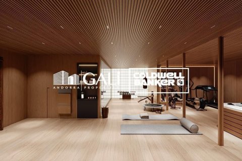 Villa de 4 dormitorios en venta en Principado De Andorra (Ninguna Poblacion Tiene C.P.), Lérida, Cataluña, Spain № 5469 - foto 9