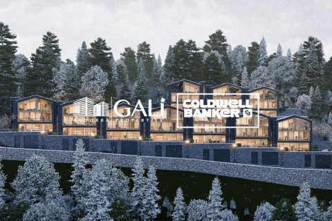 Villa de 4 dormitorios en venta en Principado De Andorra (Ninguna Poblacion Tiene C.P.), Lérida, Cataluña, Spain № 5469 - foto 18