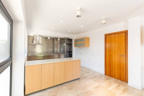 Купить дом в Сан-Кугат-дель-Вальес, Испания с 5 комнат, № 1360 - фото 24