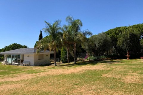 Купить дом в Сан-Висенс де Монтальт, Испания с 8 комнат, № 1355 - фото 18