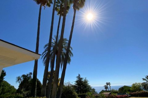 Купить дом в Сан-Висенс де Монтальт, Испания с 8 комнат, № 1355 - фото 19