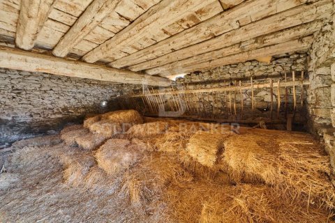 Купить дом в Каталония, Испания с 1 спальня, 1300м², № 5866 - фото 10