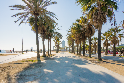 3 chambres apartment à vendre à Barcelona, Catalonia, Spain № 1225 - photo 6