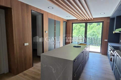 4 bedrooms house for sale in Principado De Andorra (Ninguna Poblacion Tiene C.P.), Lleida, Catalonia, Spain № 5641 - photo 7