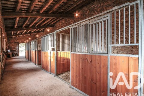 Купить дом в Кастельяр-дель-Вальес, Испания с 11 спален, 1790м², № 4706 - фото 5