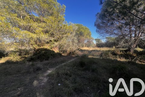 Купить земельный участок в Паламос, Испания 2949м², № 4658 - фото 4