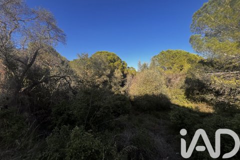 Купить земельный участок в Паламос, Испания 2949м², № 4658 - фото 10