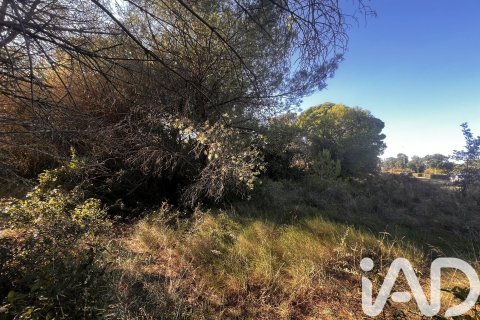 Купить земельный участок в Паламос, Испания 2949м², № 4658 - фото 5