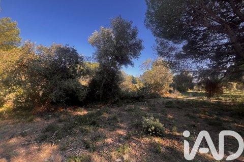 Купить земельный участок в Паламос, Испания 2949м², № 4658 - фото 9