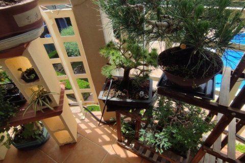 3 chambres apartment à vendre à Palamos, Girona, Catalonia, Spain № 3638 - photo 30