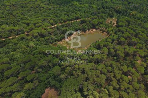 10 bedrooms house for sale in Caldes de Malavella, Girona, Catalonia, Spain № 6058 - photo 26