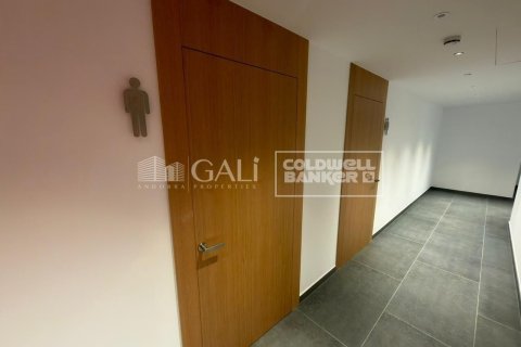 94 m² office à louer à Principado De Andorra (Ninguna Poblacion Tiene C.P.), Lleida, Catalonia, Spain № 6155 - photo 9