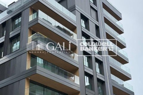 94 m² office à louer à Principado De Andorra (Ninguna Poblacion Tiene C.P.), Lleida, Catalonia, Spain № 6155 - photo 11