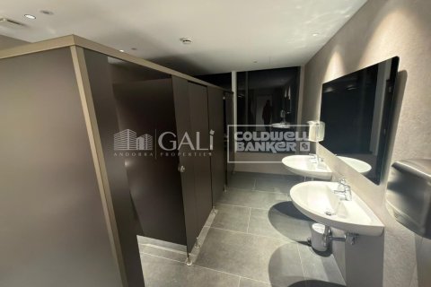 94 m² office à louer à Principado De Andorra (Ninguna Poblacion Tiene C.P.), Lleida, Catalonia, Spain № 6155 - photo 7