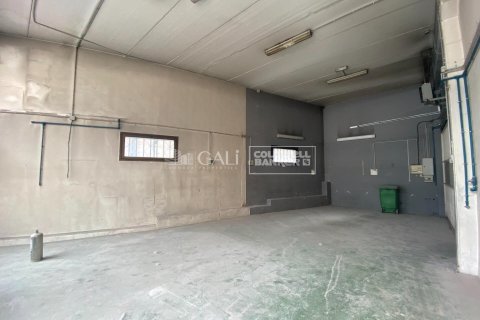 Propiedad comercial de 744 m² en alquiler en Principado De Andorra (Ninguna Poblacion Tiene C.P.), Lérida, Cataluña, Spain № 6161