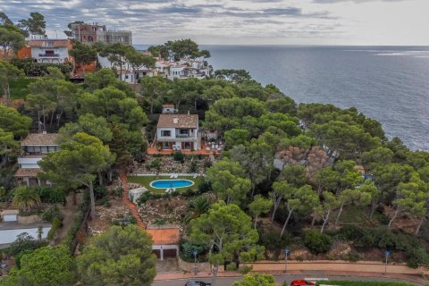 Купить дом в Льяфранк, Испания с 5 комнат, № 1645 - фото 3