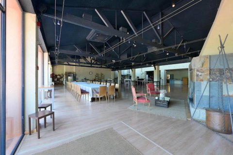 Купить дом в Вальгоргина, Испания с 16 комнат, № 1642 - фото 27