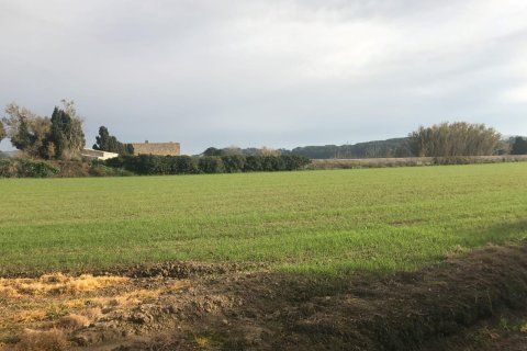 Купить дом в Палафружель, Испания № 1646 - фото 22