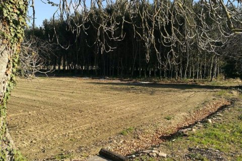 Купить дом в Палафружель, Испания № 1646 - фото 27