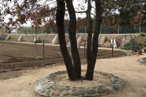 Купить дом в Палафружель, Испания № 1646 - фото 18