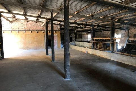 Купить дом в Палафружель, Испания № 1646 - фото 15