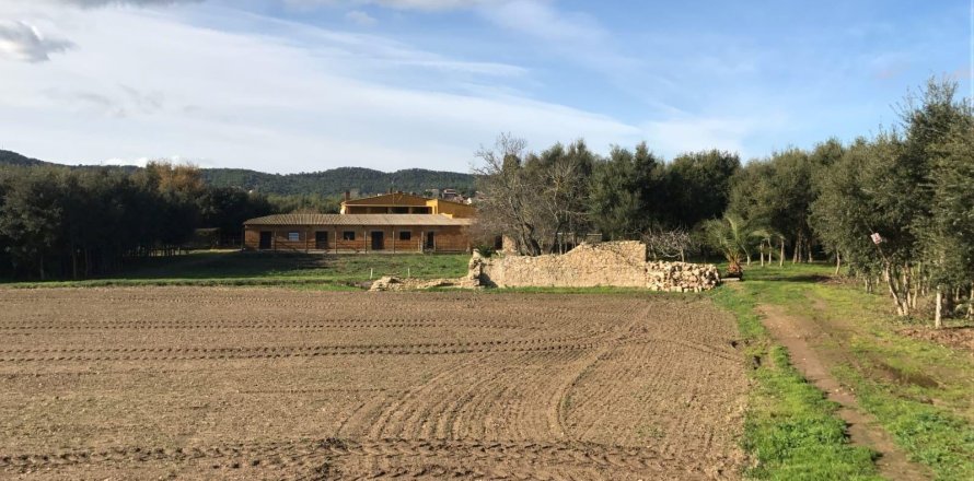 Дом в Палафружеле, Герона, Каталония, Испания № 1646