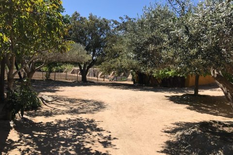 Купить дом в Палафружель, Испания № 1646 - фото 25